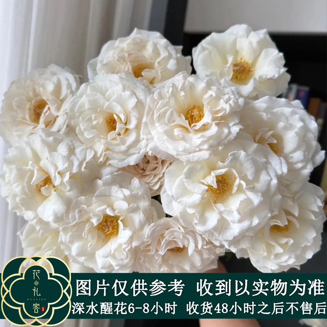 七叶花坊# 【香云纱】高端稀有多头玫瑰顺丰直发
