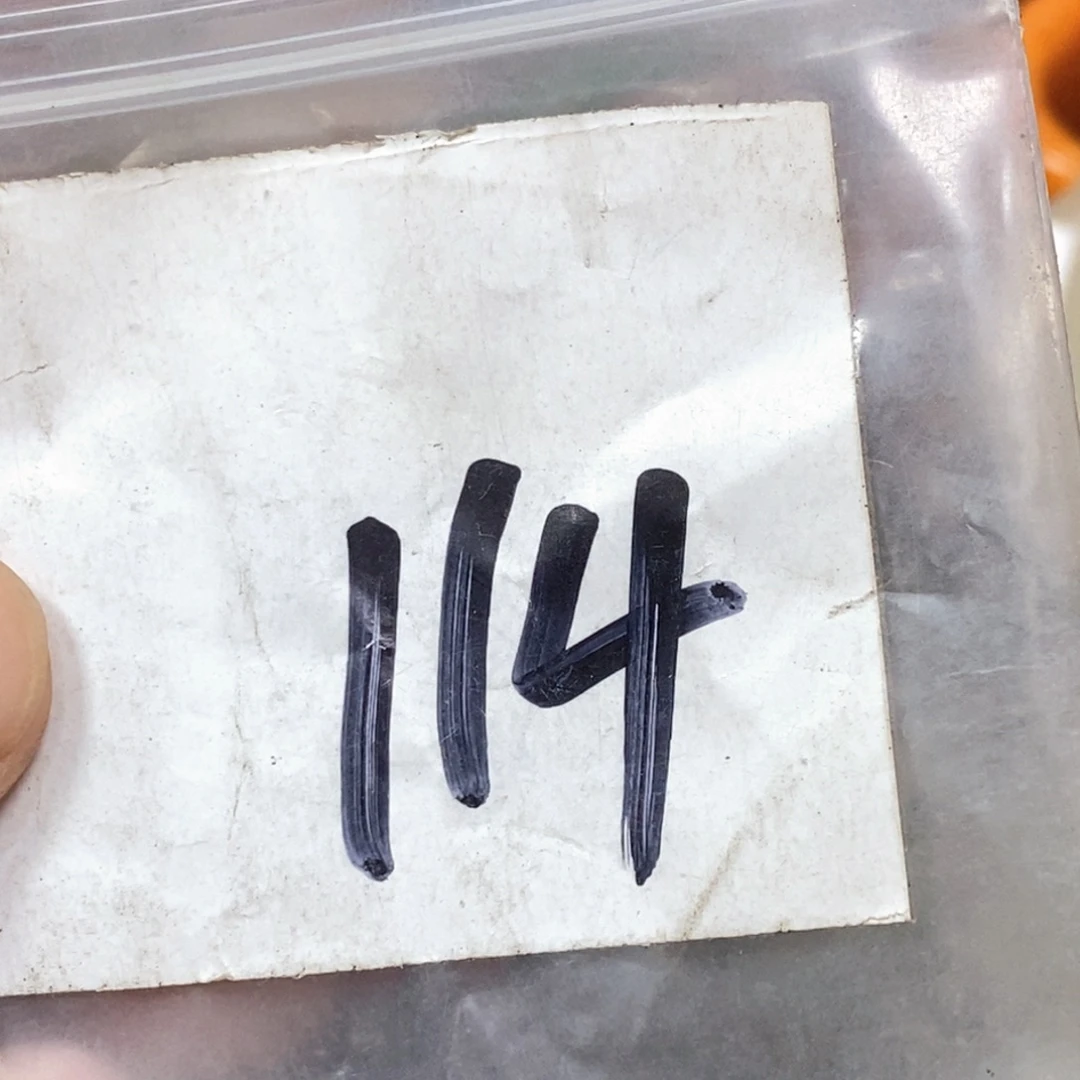 吊坠滴血莲花菩提