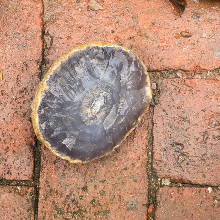 元***元定制玛瑙定制玛瑙手镯