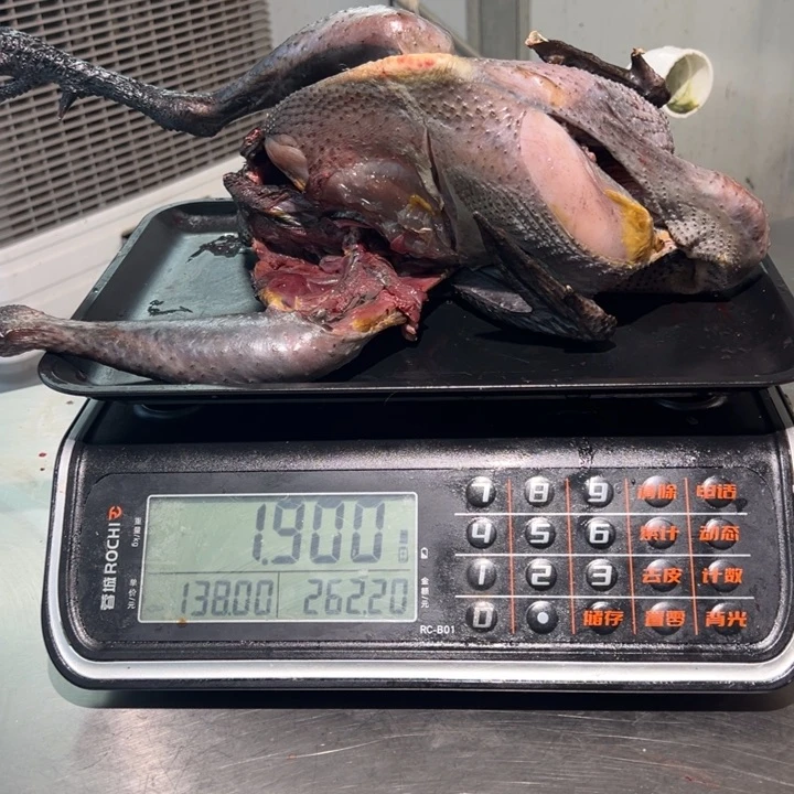 一号土鸡食用农产品中国大陆朝***J