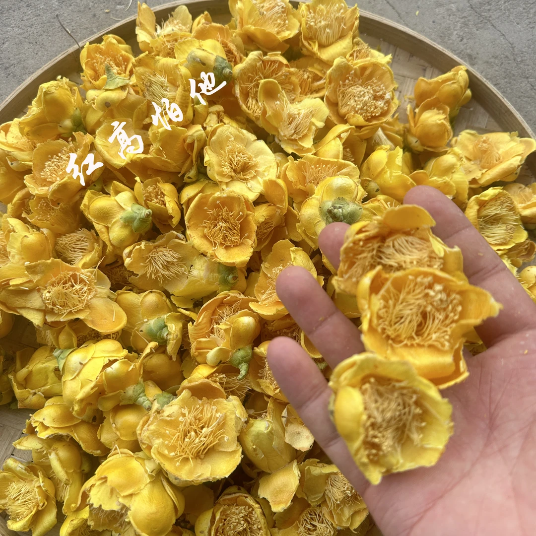 金花茶干花金茶花应季采收色鲜味正人工去杂当季新货