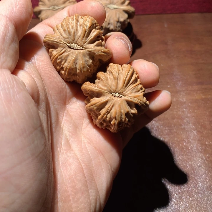 把件文玩核桃这**？白狮子