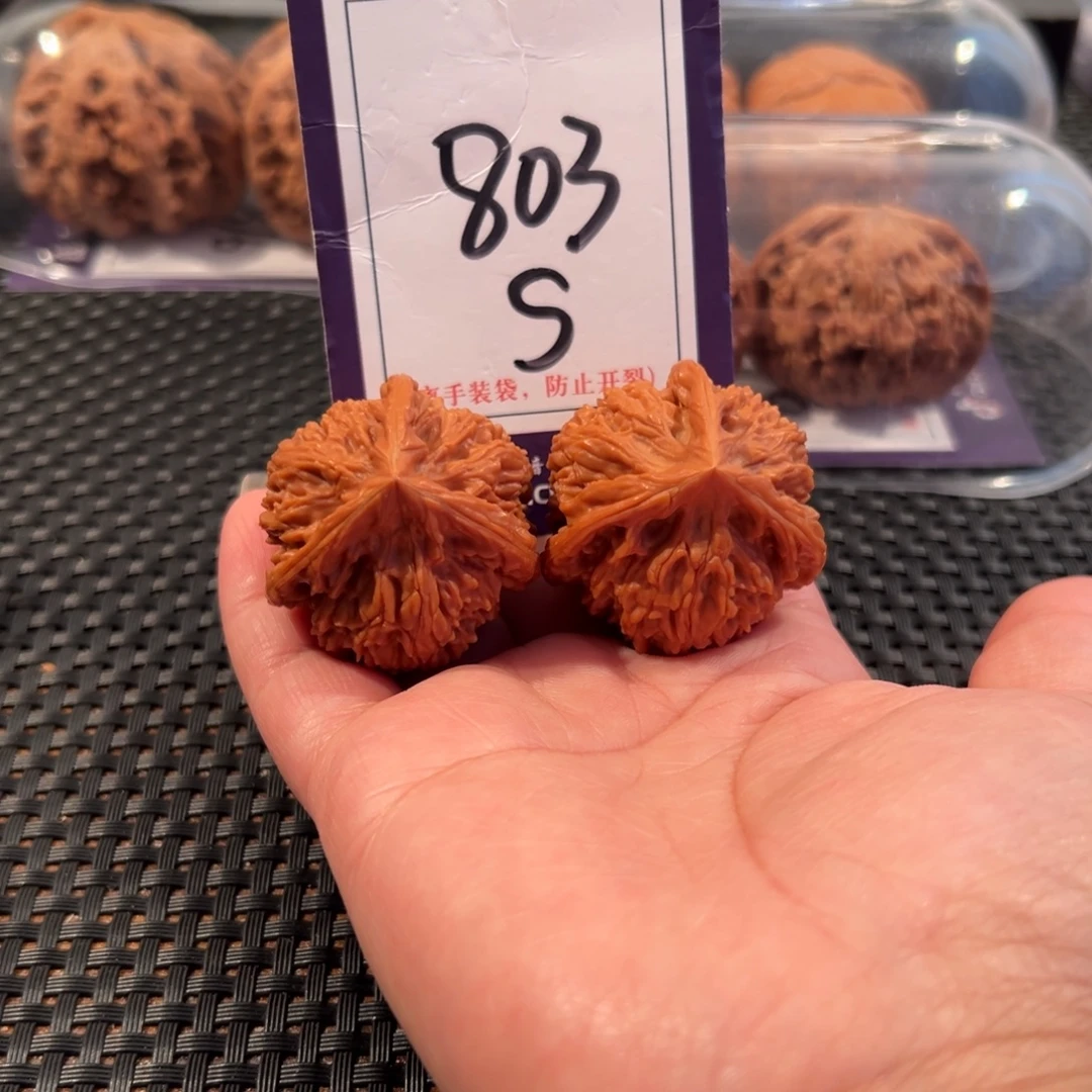 文玩核桃把件803号文山正奔尺寸37全品