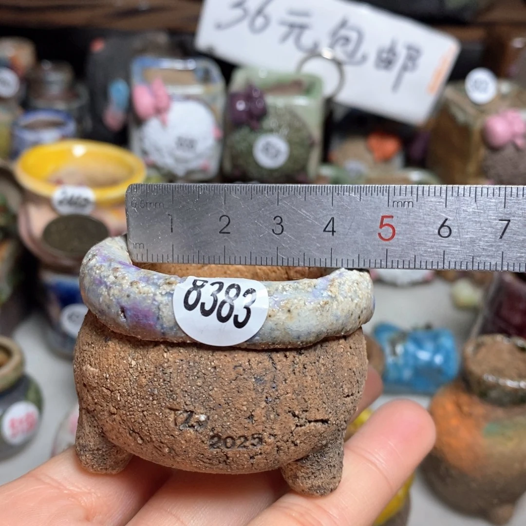 拍3送一个小礼物