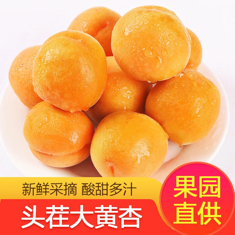 【中源推荐】当季新鲜大黄杏自然成熟酸甜杏子孕妇生鲜水果现摘现发