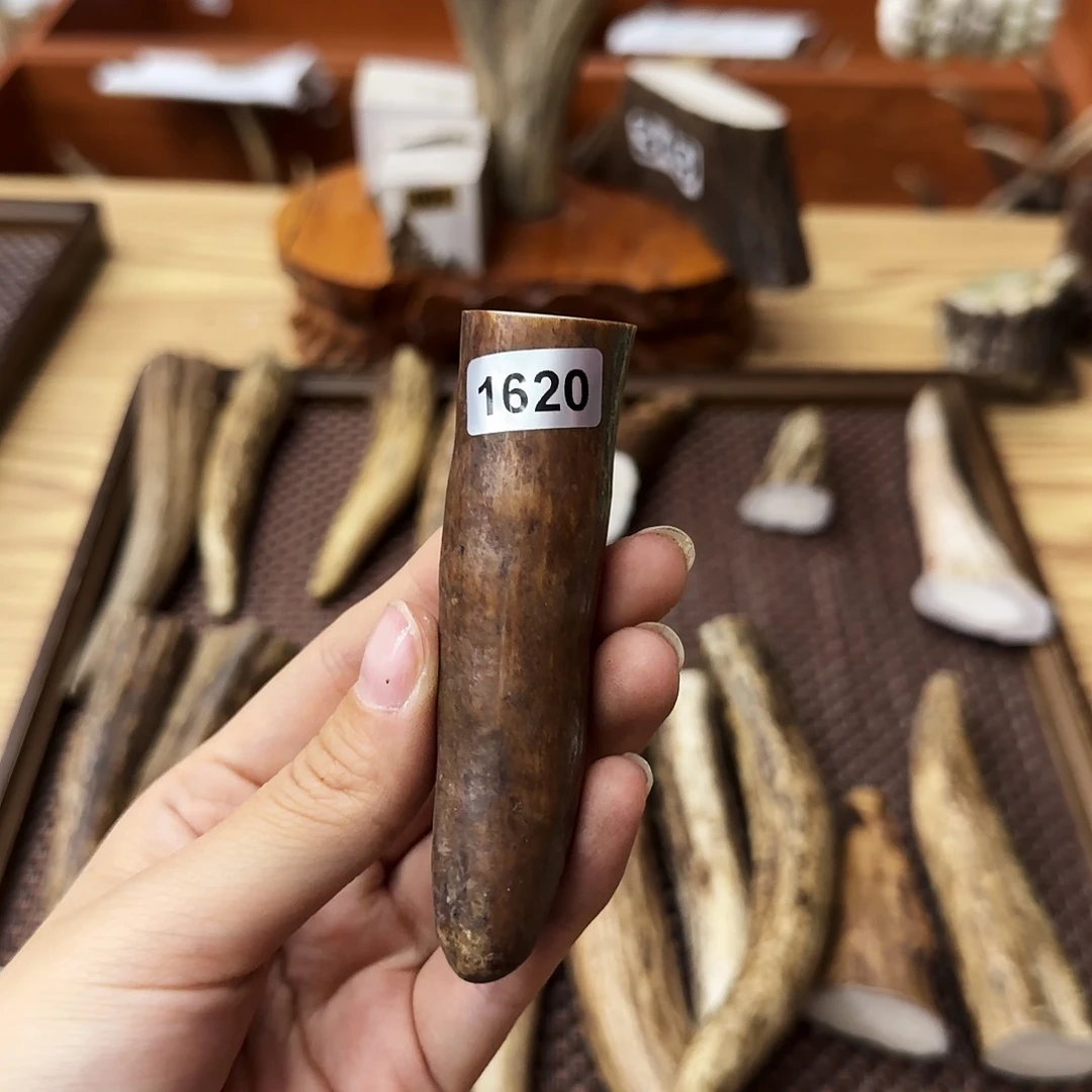 鹿骨手串/手链1620角尖