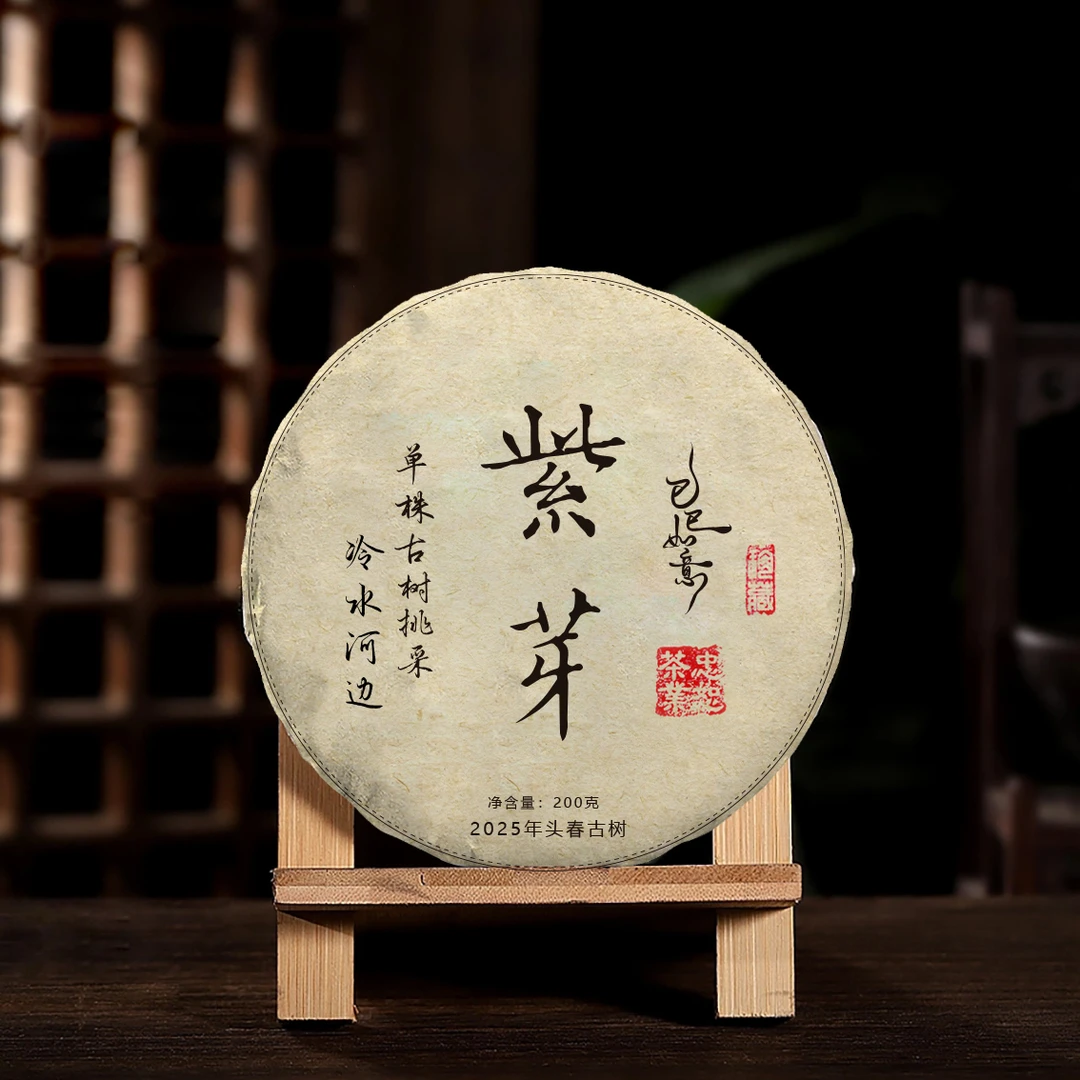 【紫芽-单株挑采】2025年易武冷水河边头春古树茶