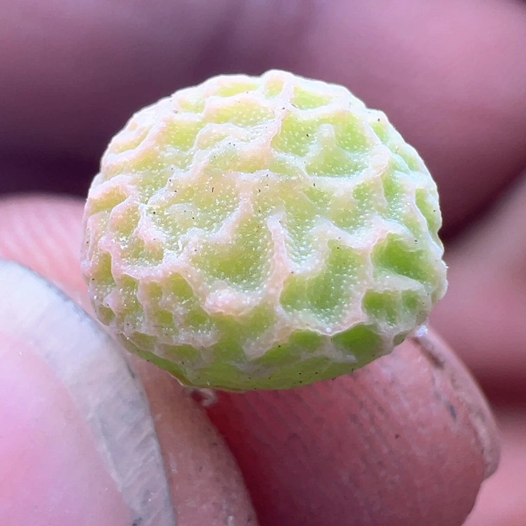 68优选dt7778超烧