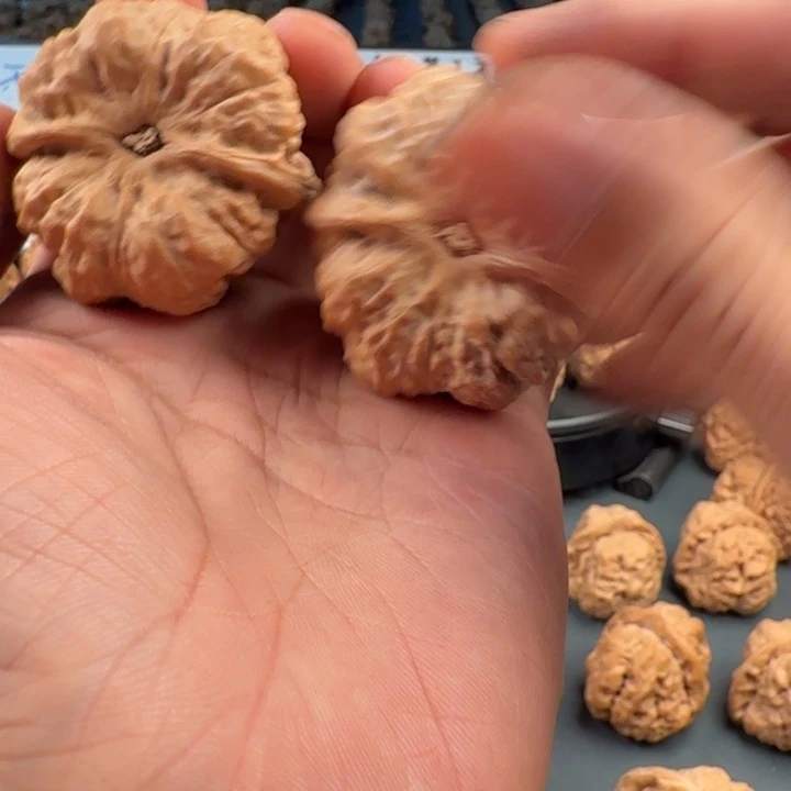 木***尼文玩核桃吊坠蛤蟆的眼睛是真的好看