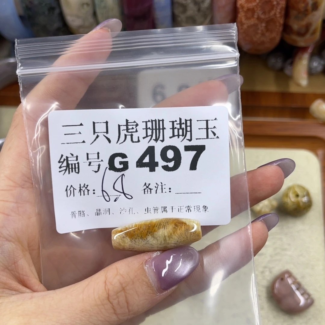*****硅化珊瑚（珊瑚玉）未镶嵌h