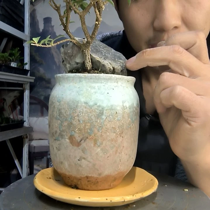 用****2中青园艺一物一拍202