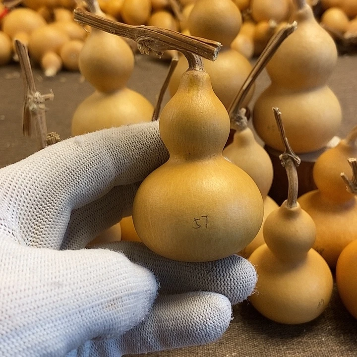 文玩葫芦 完美主义者 慎拍57