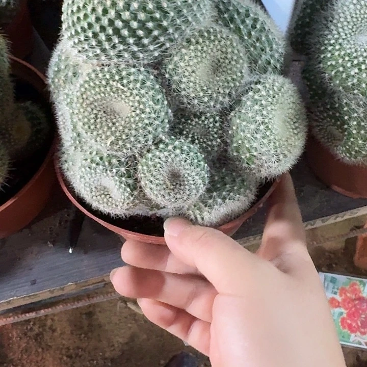 可***丽哈哈哈哈哈哈哈哈哈