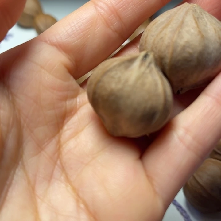 仙***笑手串/手链橄榄核2.9