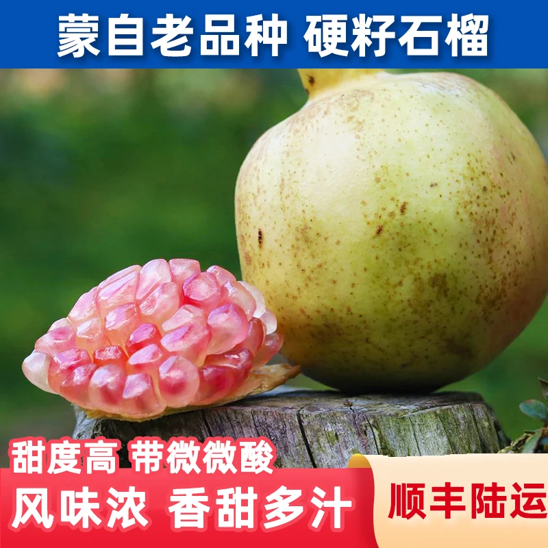 鑫选 蒙自老品种硬籽石榴3-7斤风味浓微酸 香甜多汁 鲜采顺丰直发