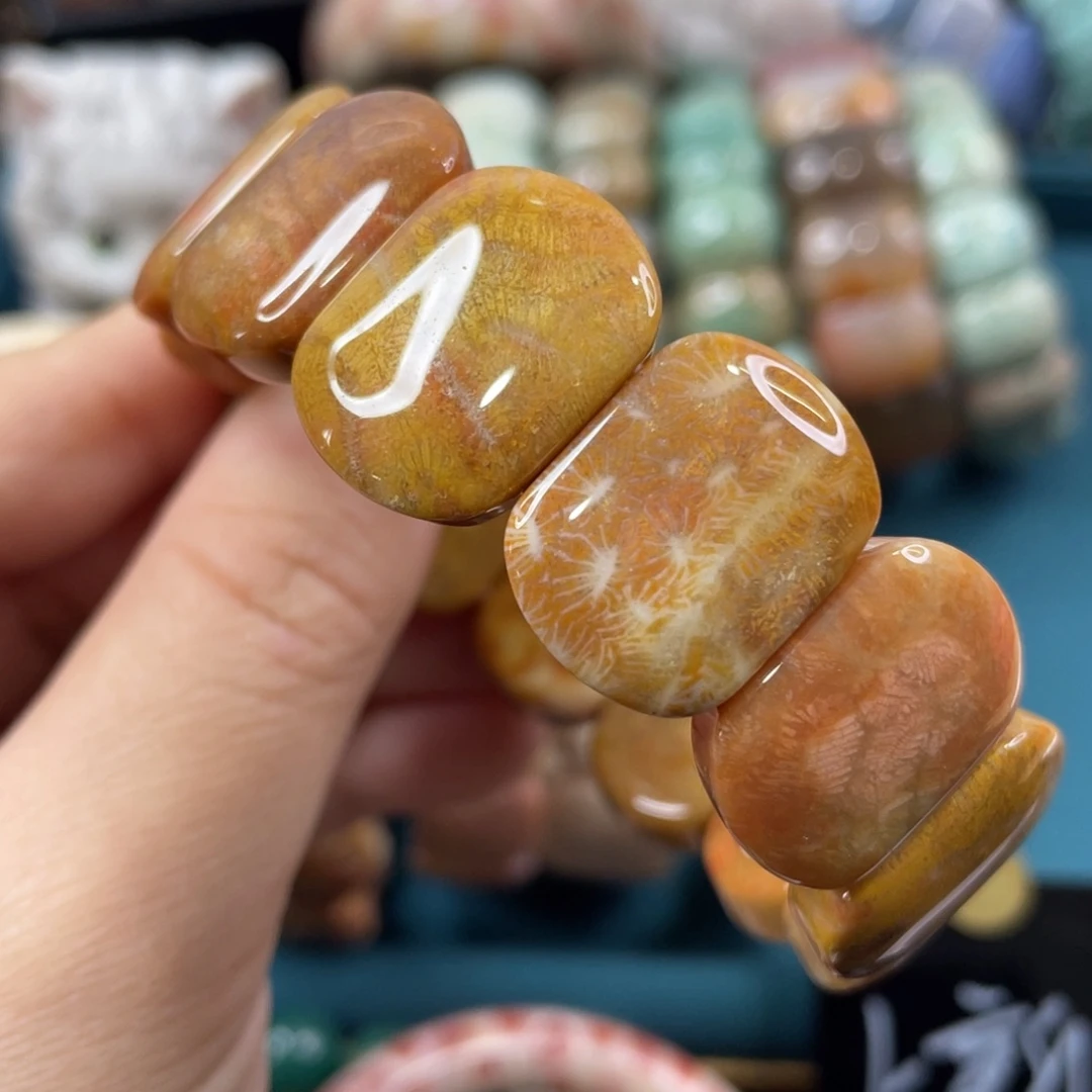 未镶嵌手镯硅化玉