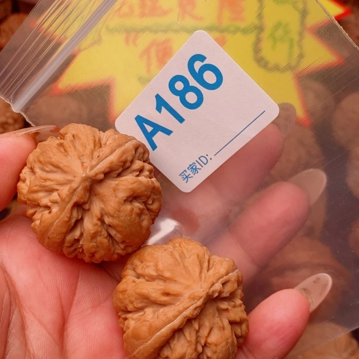 霸王龙37尺186号123