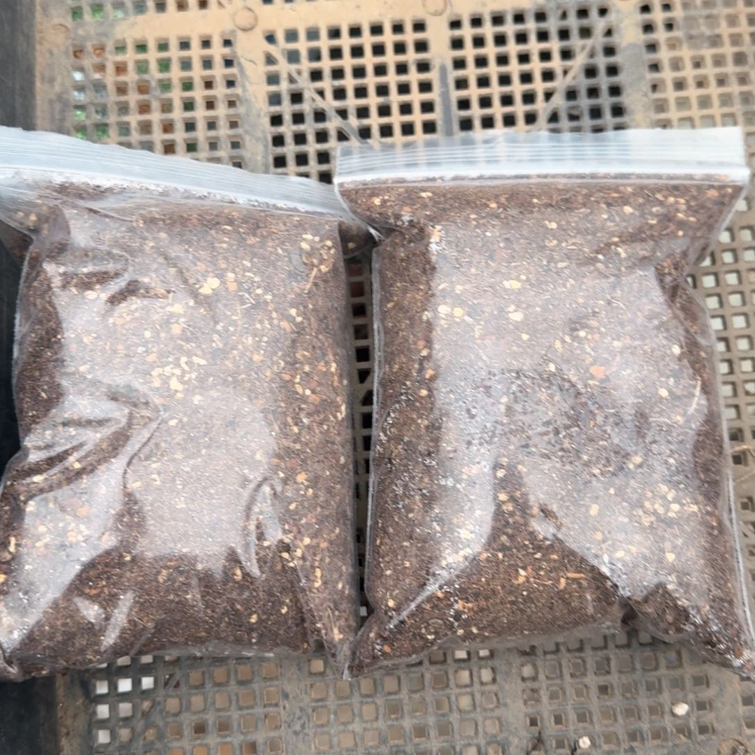 五元两包土肉锥专用土