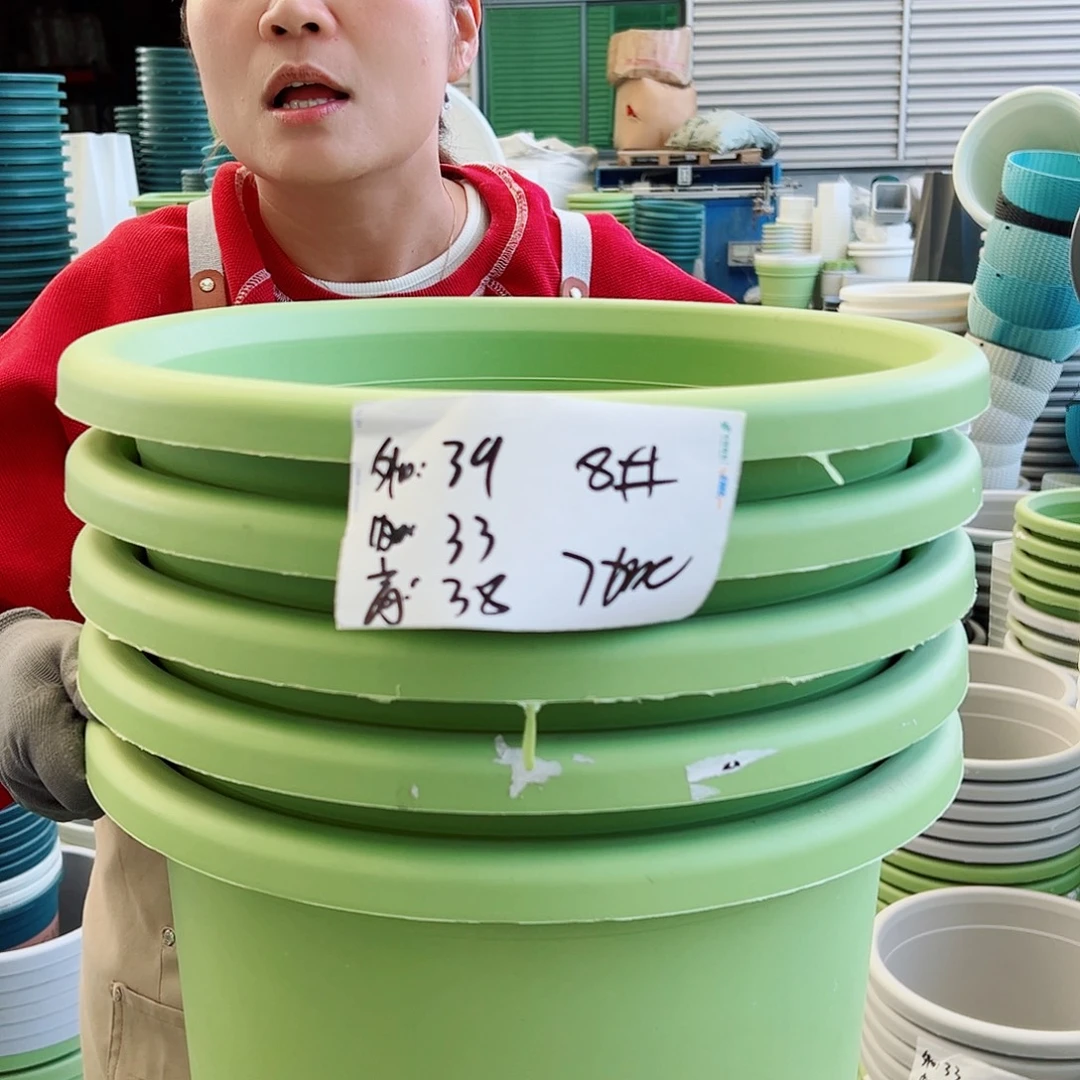 四季盆8#果绿色5个无托