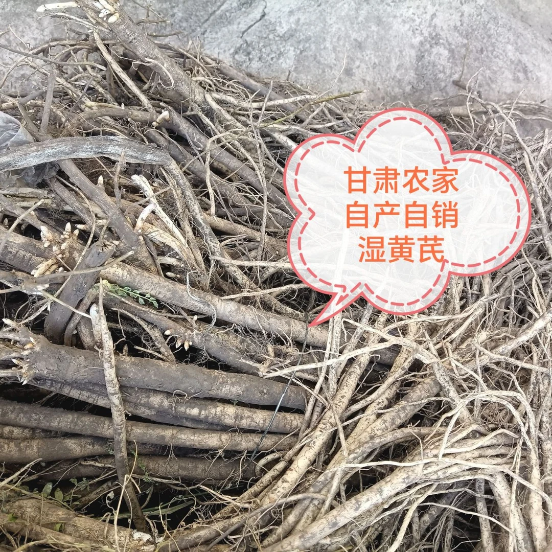 新鲜黄芪整根 岷县原产地发货 自家种植