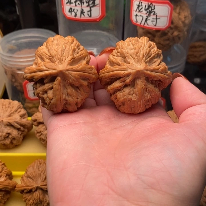 手串/手链橄榄核猫*红锦鲤48全品