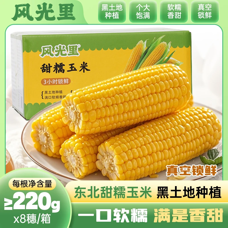 风光里2025年头茬甜糯玉米东北产区真空包装≥220g*8穗黑土地种植