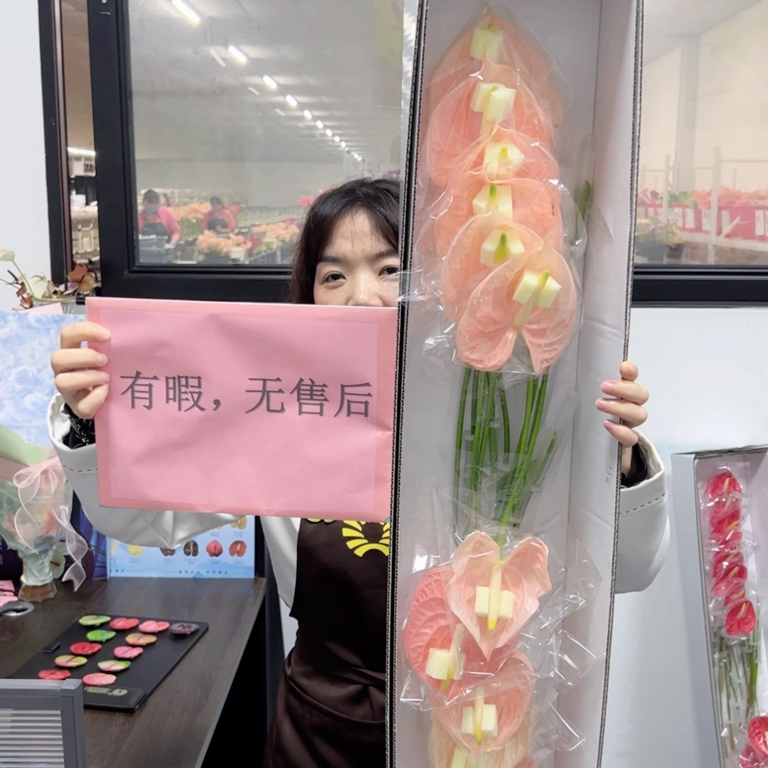 完全开放干杯-12枝装无售后款！