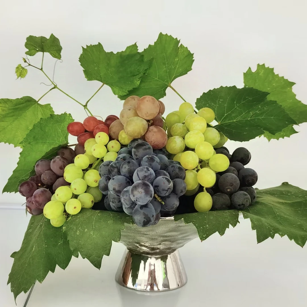 延庆-金粟葡萄盲盒（5斤装）