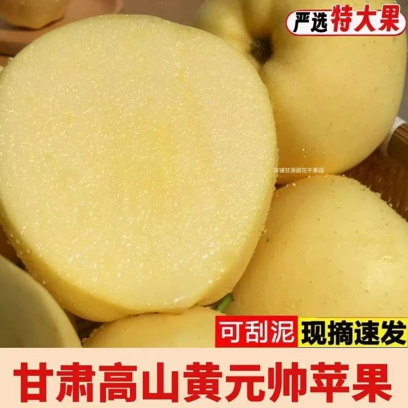 正宗甘肃天水秦安黄元帅当季水果现摘现发新疆、西藏包邮