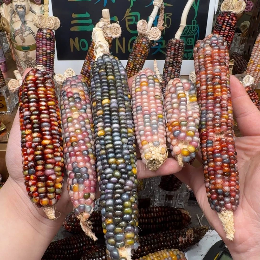 柏香籽/百香籽吊坠一****.