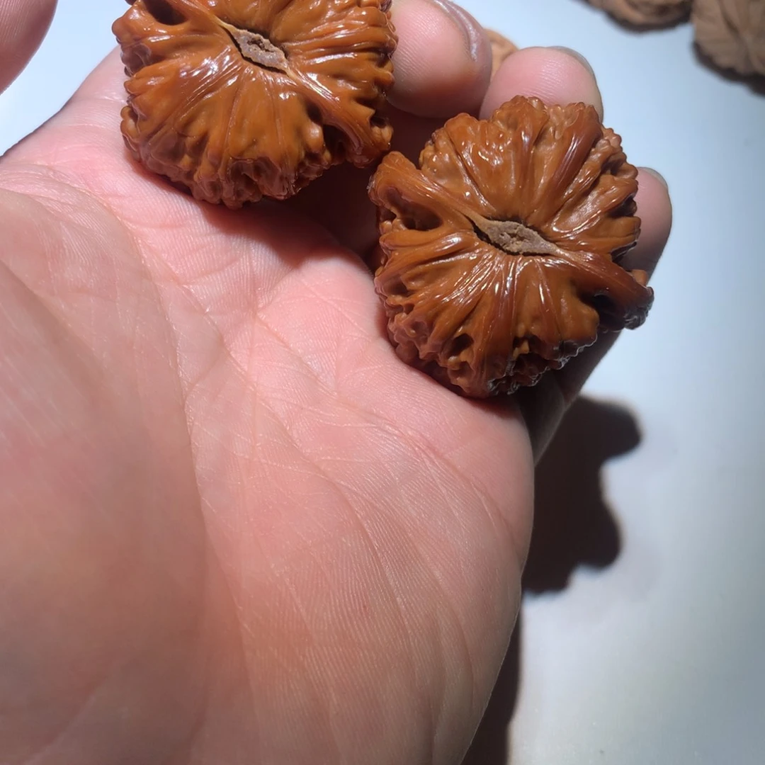 把件文玩核桃小*哥白狮子