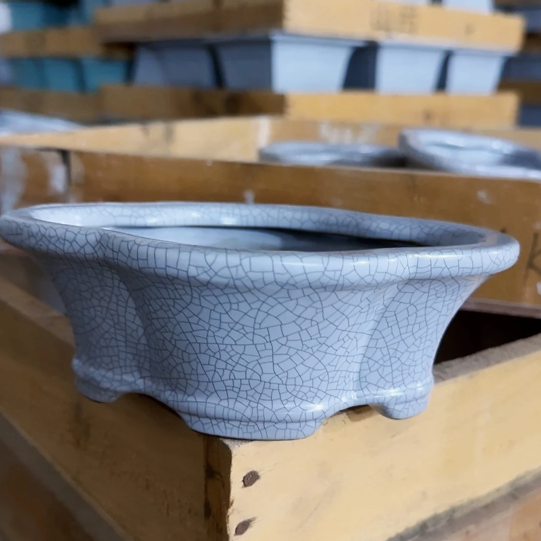 陶瓷花盆特价上新