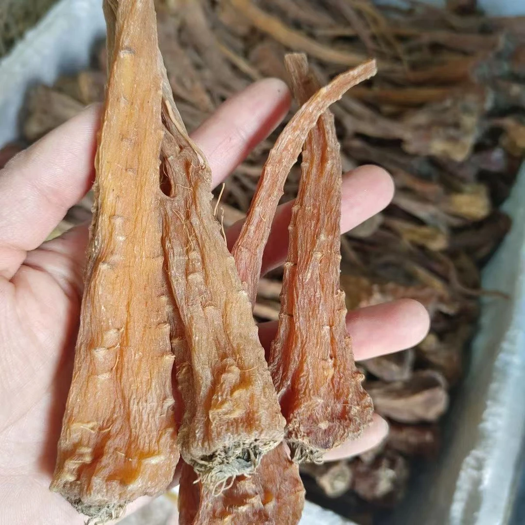 藏血参【杰选陈皮】250g 拍一发二
