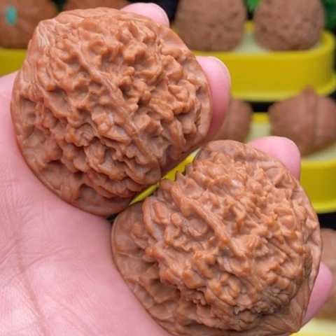 百花山42全品11111