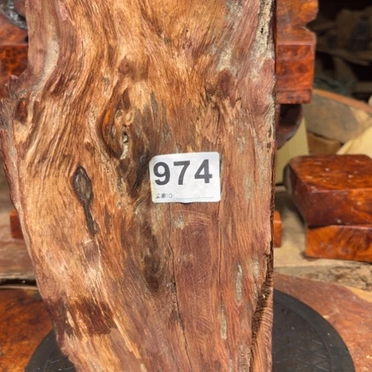 大果紫檀（缅甸花梨）