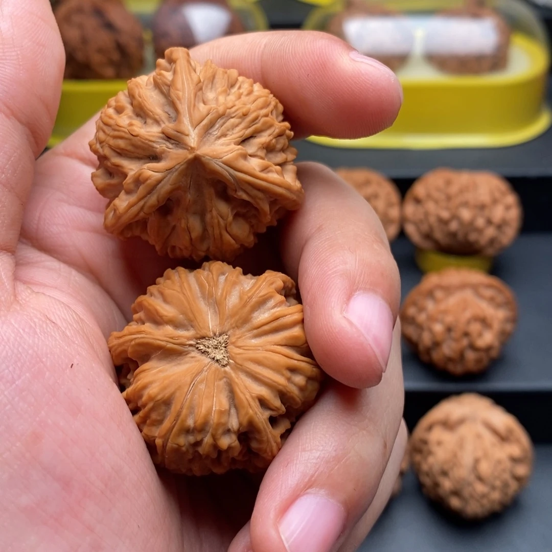 吊坠文玩核桃哦*噶36御龙正奔