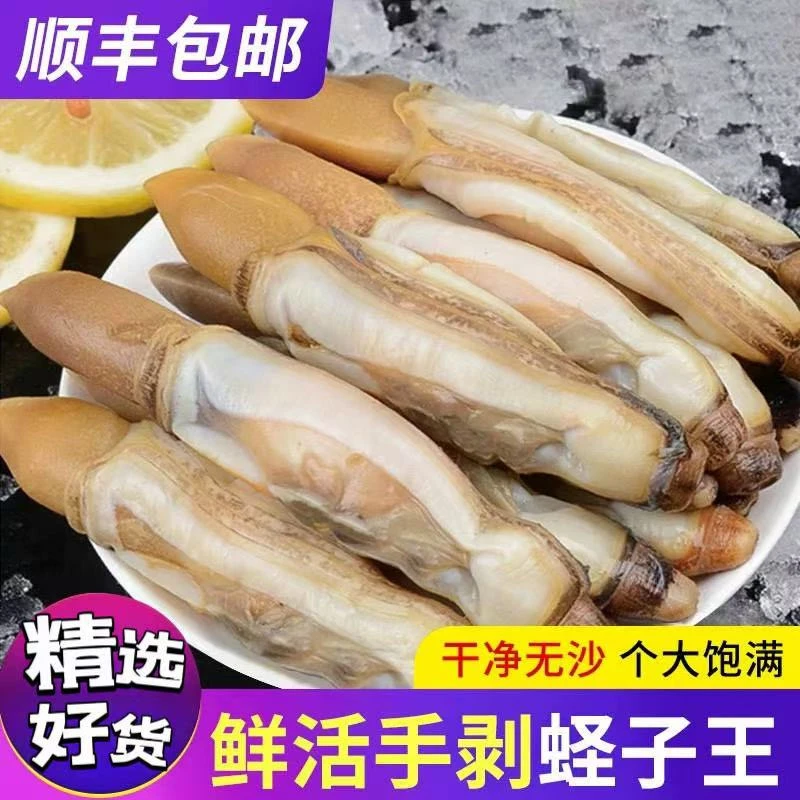 蛏子肉新鲜冷冻蛏王肉海鲜竹节蛏竹蛏王鲜活冰冻海圣子肉生鲜商用