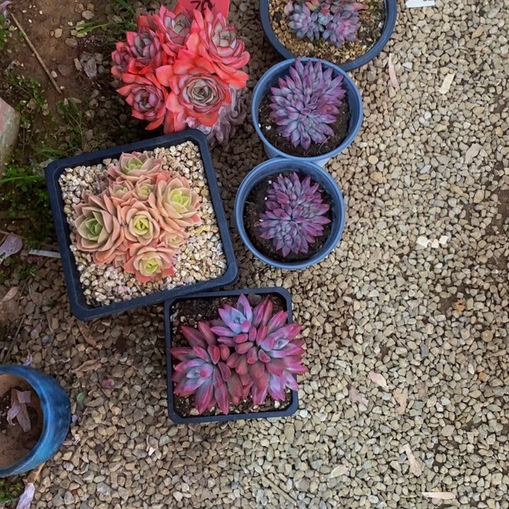 凡***儿是吗这不比以前还难受