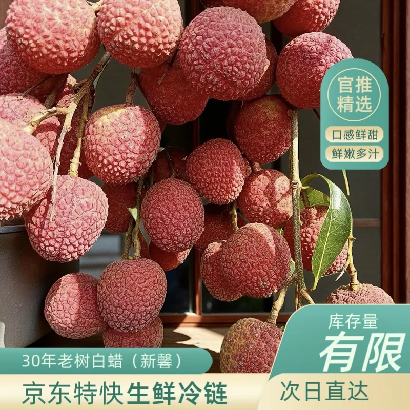 【京东特快南方、东南沿海】正宗高州老树白蜡l现摘现发新鲜不泡水