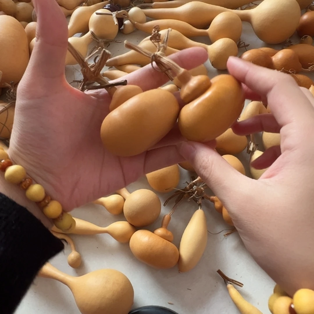 老皮哈哈哈哈哈哈哈