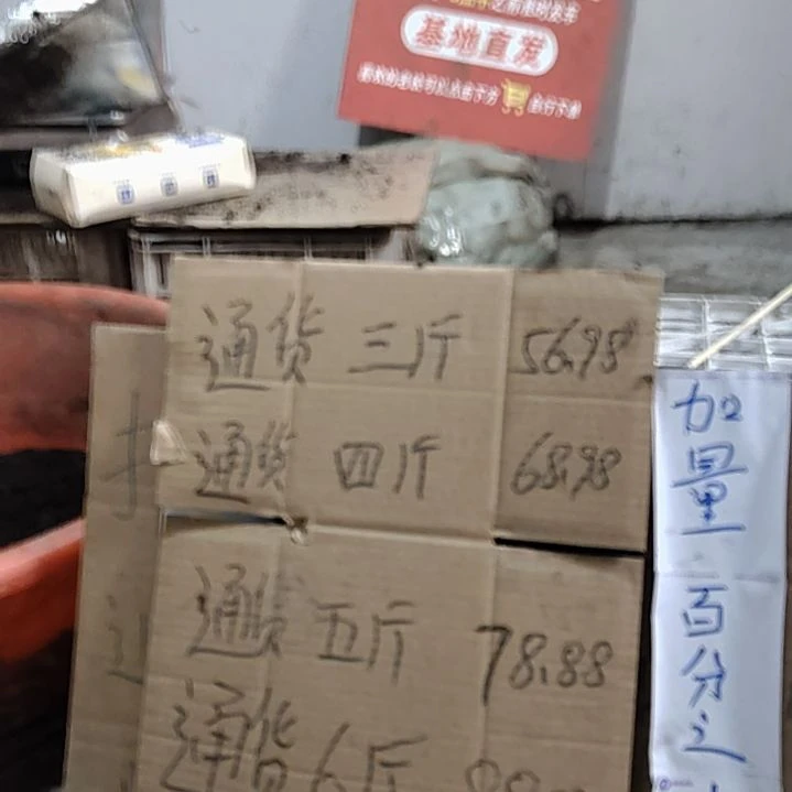 鲜活青蚯蚓大通货六斤顺丰包邮