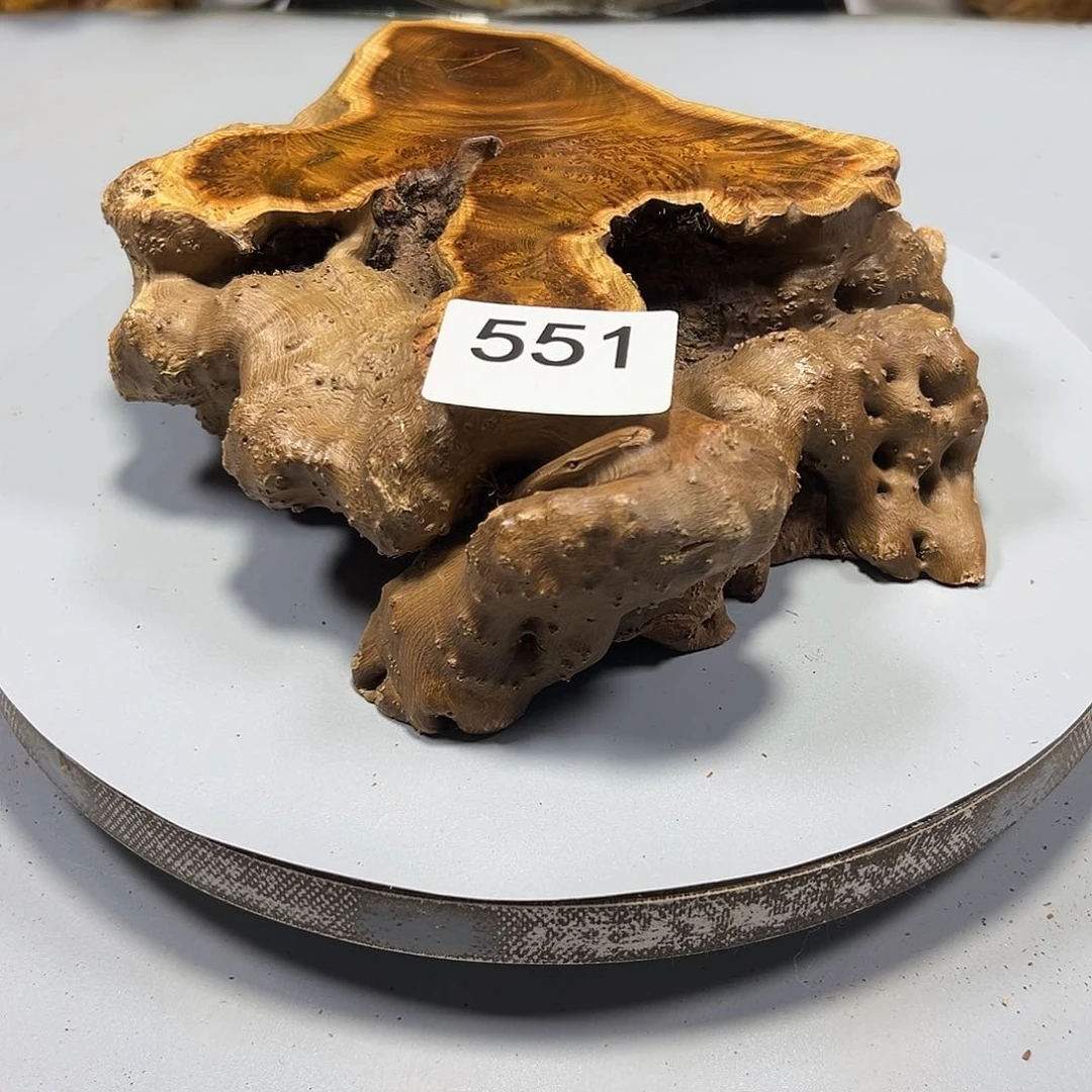 大果紫檀（缅甸花梨）漫**步