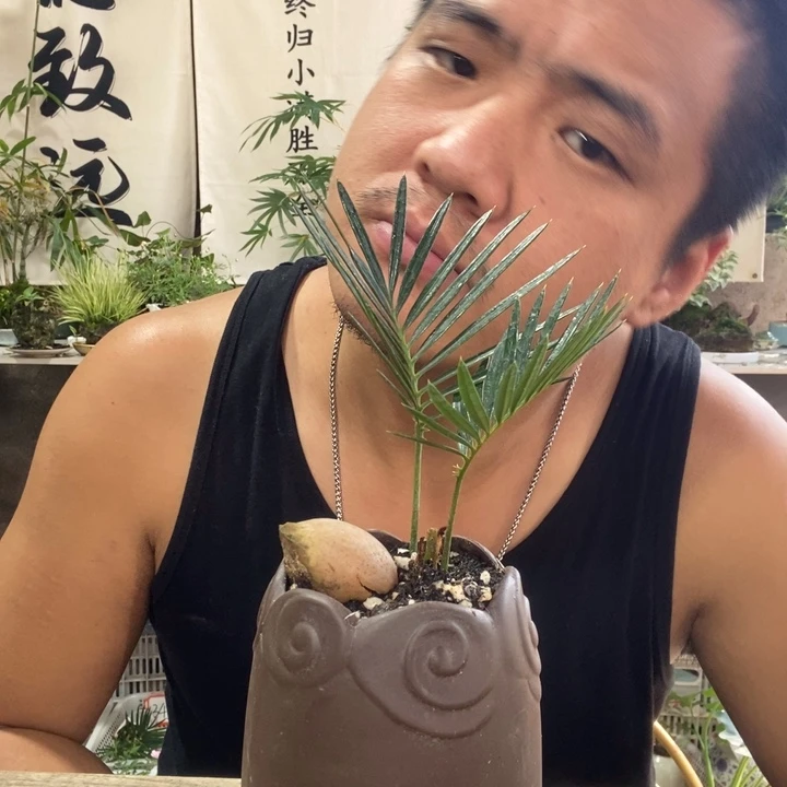 *****无花朵退款拉黑拉黑358
