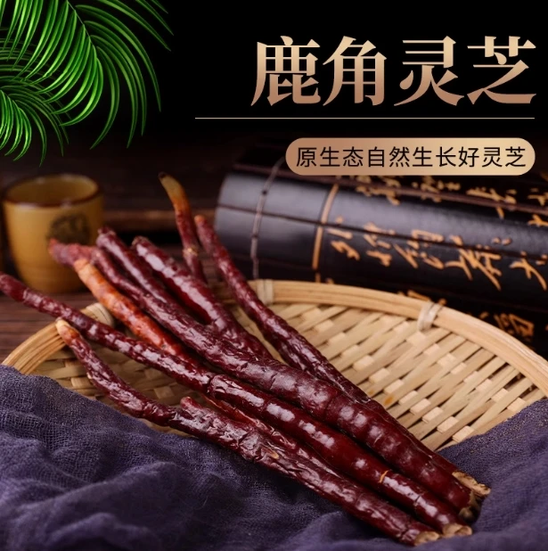 【高原山货】鹿角灵芝 优选高山里灵芝草天然采摘仙草泡酒