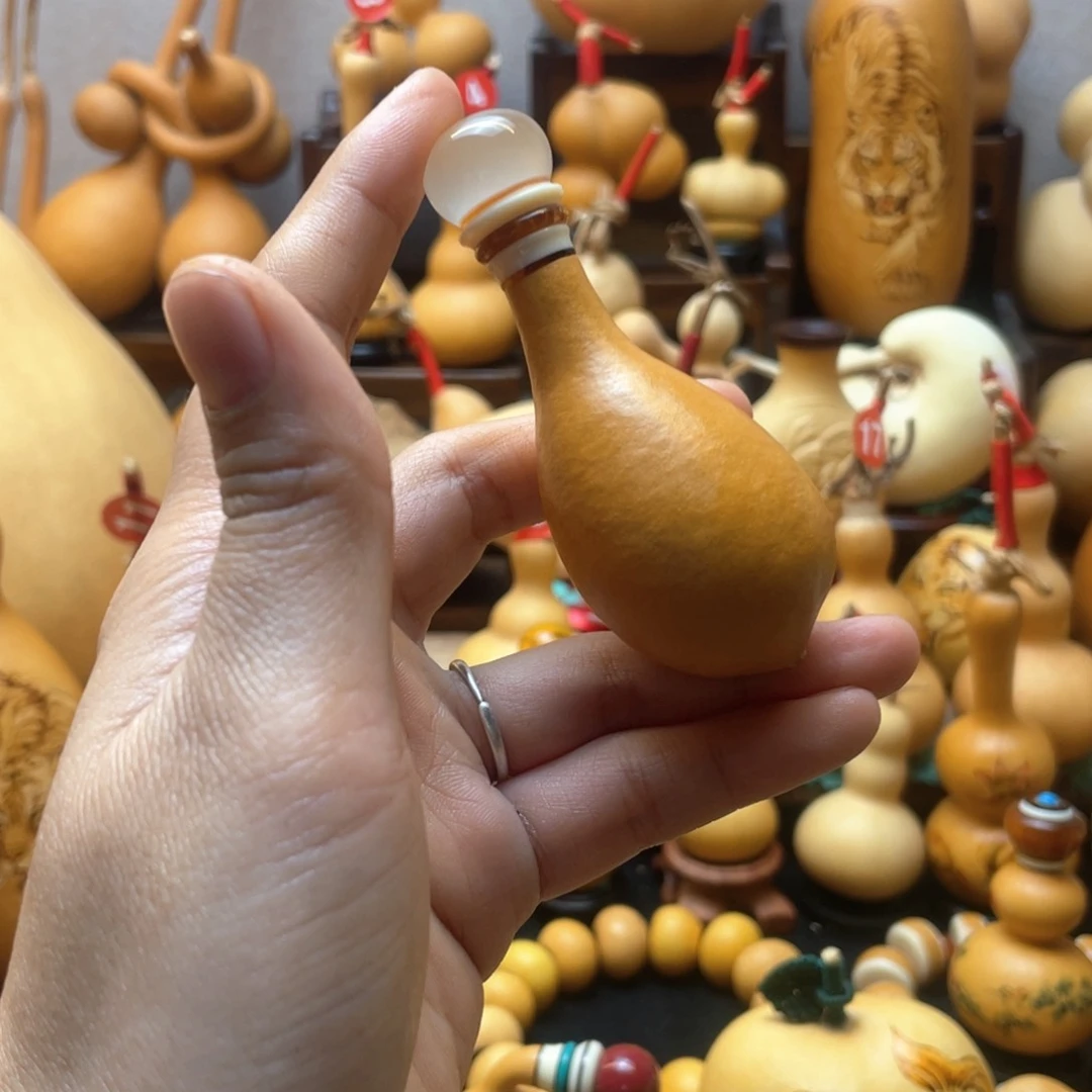 X****大自然的秘密第十一节你