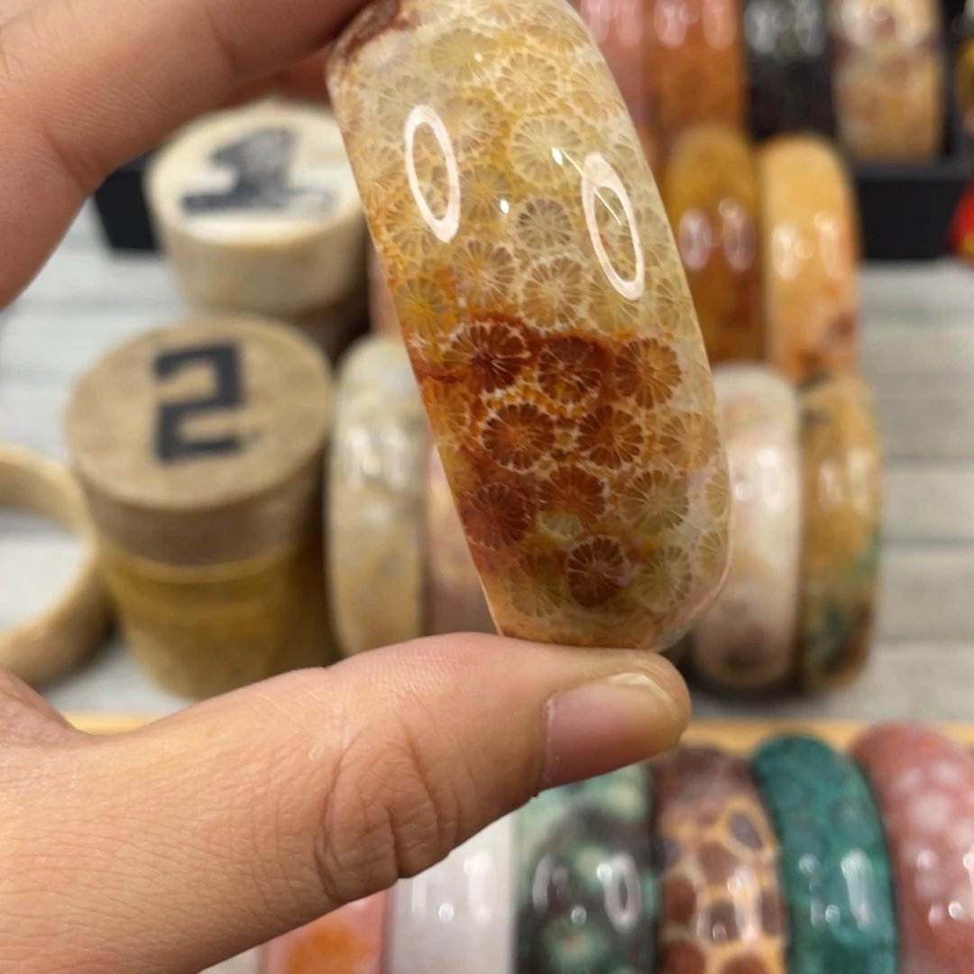 未镶嵌手镯硅化玉
