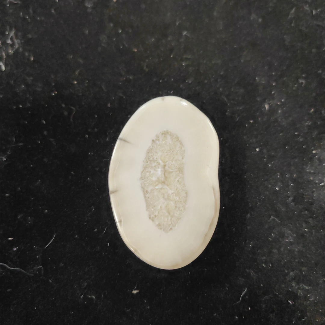 猛犸猛犸虬饼子WW163