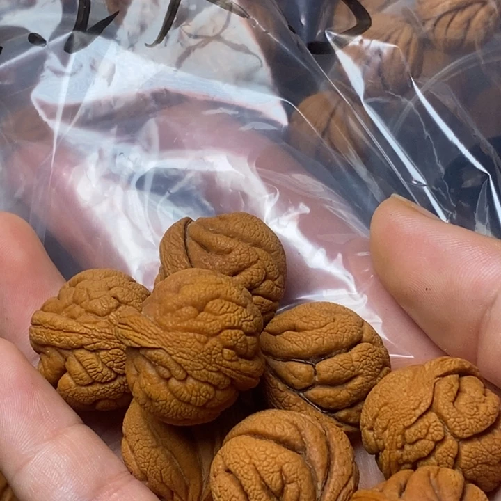 木质类秦岭山桃核