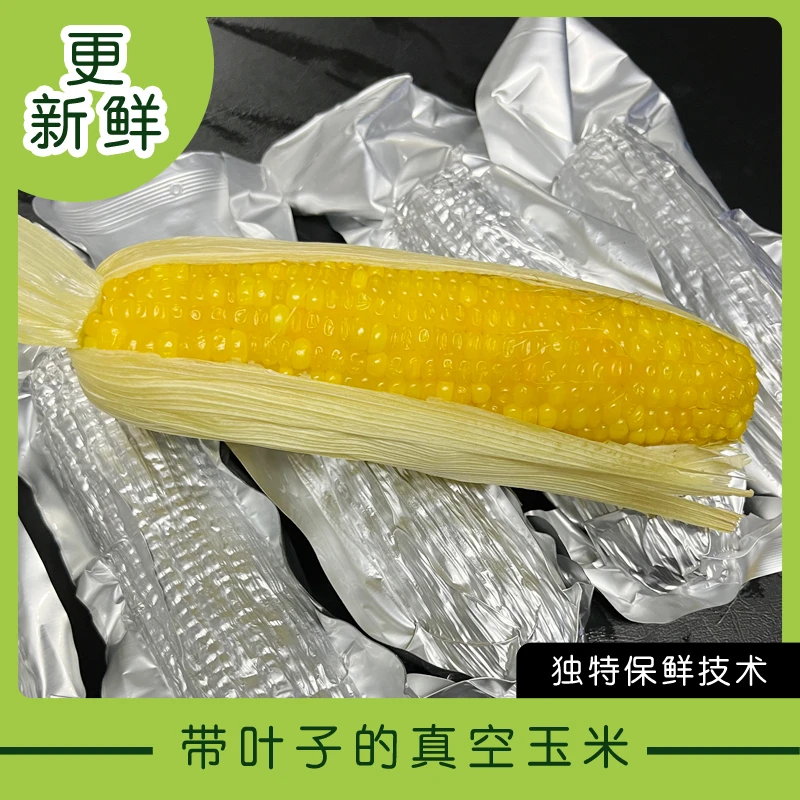 东北原生带叶子的真空黄糯玉米又鲜又甜软糯黑土特产