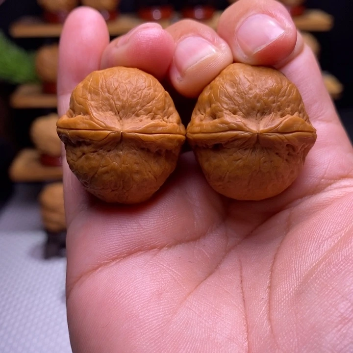 任***湖核桃云铁龙珠3号